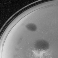 PageBuckets Plaque Picture