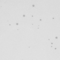 Thumbnail for Paiginator