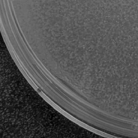 EggsnMolasses Plaque Picture