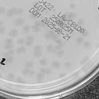 CharyMP Plaque Picture