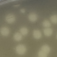 HandMeDown Plaque Picture