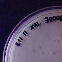 GodSpeed Plaque Picture