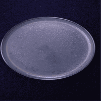 PoloShirt Plaque Picture