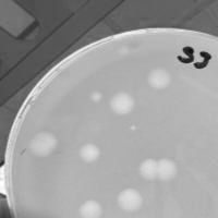 Joginder Plaque Picture