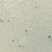 Pierce Plaque Picture