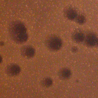 LilJohn Plaque Picture