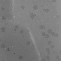 Rev2213 Plaque Picture