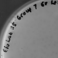 Rugby Plaque Picture