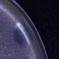 December Plaque Picture