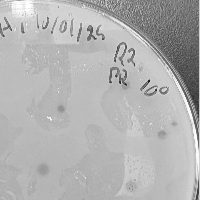 Thumbnail for DinTaiPhung