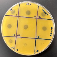 ISUkevin Plaque Picture