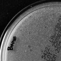 Thumbnail for Spilly