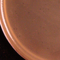 Smartfella Plaque Picture