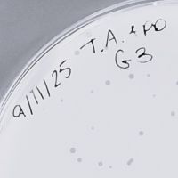 Tayton Plaque Picture