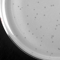 Toad24 Plaque Picture