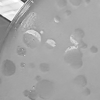 Ulqiorra Plaque Picture