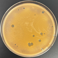 Ravana Plaque Picture