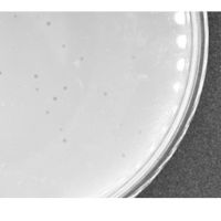 Werth Plaque Picture