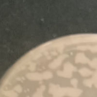 ArmaDitto Plaque Picture