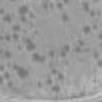 Thumbnail for Cleatunium