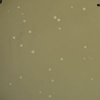 LowTaperFade Plaque Picture