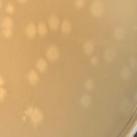 Buno1 Plaque Picture