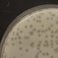 WaterBottle Plaque Picture