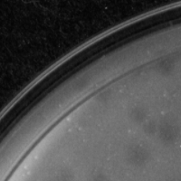 ThunderBug Plaque Picture