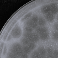 Norway Plaque Picture