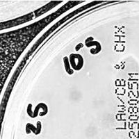 Wetconcrete Plaque Picture