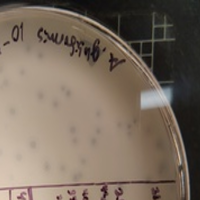 FirePit Plaque Picture