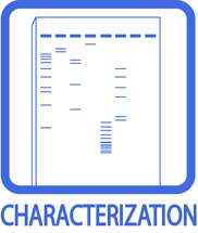 Characterization Icon