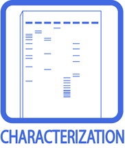 Characterization