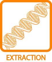 Extraction Icon