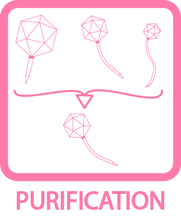 Purification